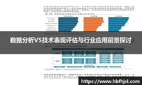 数据分析V5技术表现评估与行业应用前景探讨